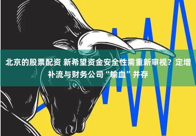 北京的股票配资 新希望资金安全性需重新审视？定增补流与财务公司“输血”并存