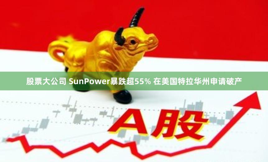 股票大公司 SunPower暴跌超55% 在美国特拉华州申请破产
