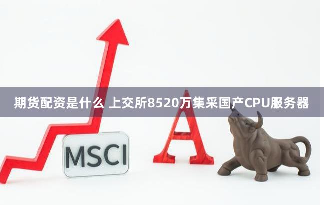 期货配资是什么 上交所8520万集采国产CPU服务器