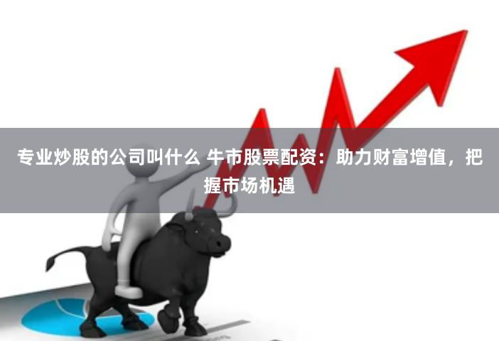 专业炒股的公司叫什么 牛市股票配资：助力财富增值，把握市场机遇